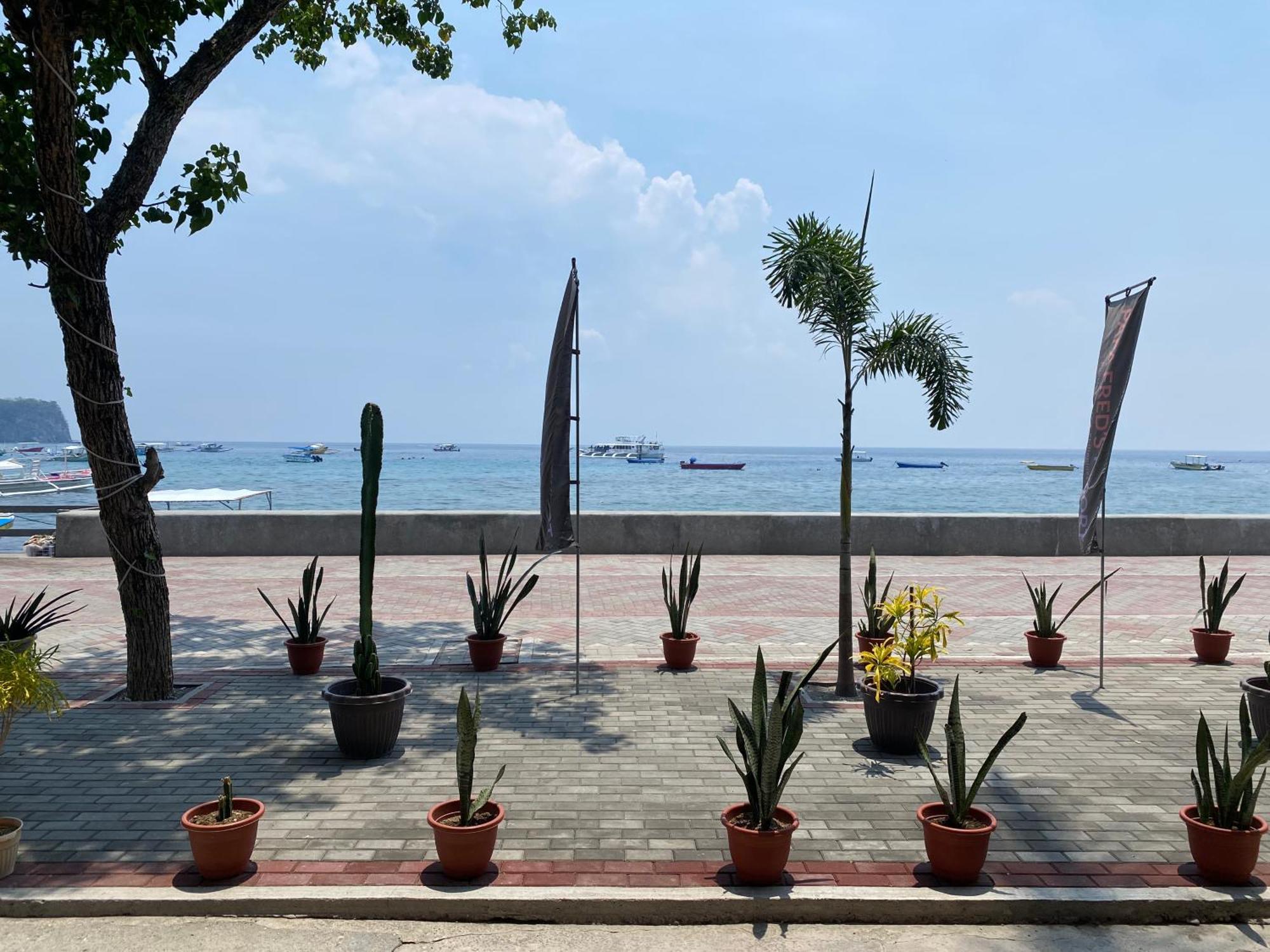 Papa Freds Beach Resort Puerto Galera Εξωτερικό φωτογραφία