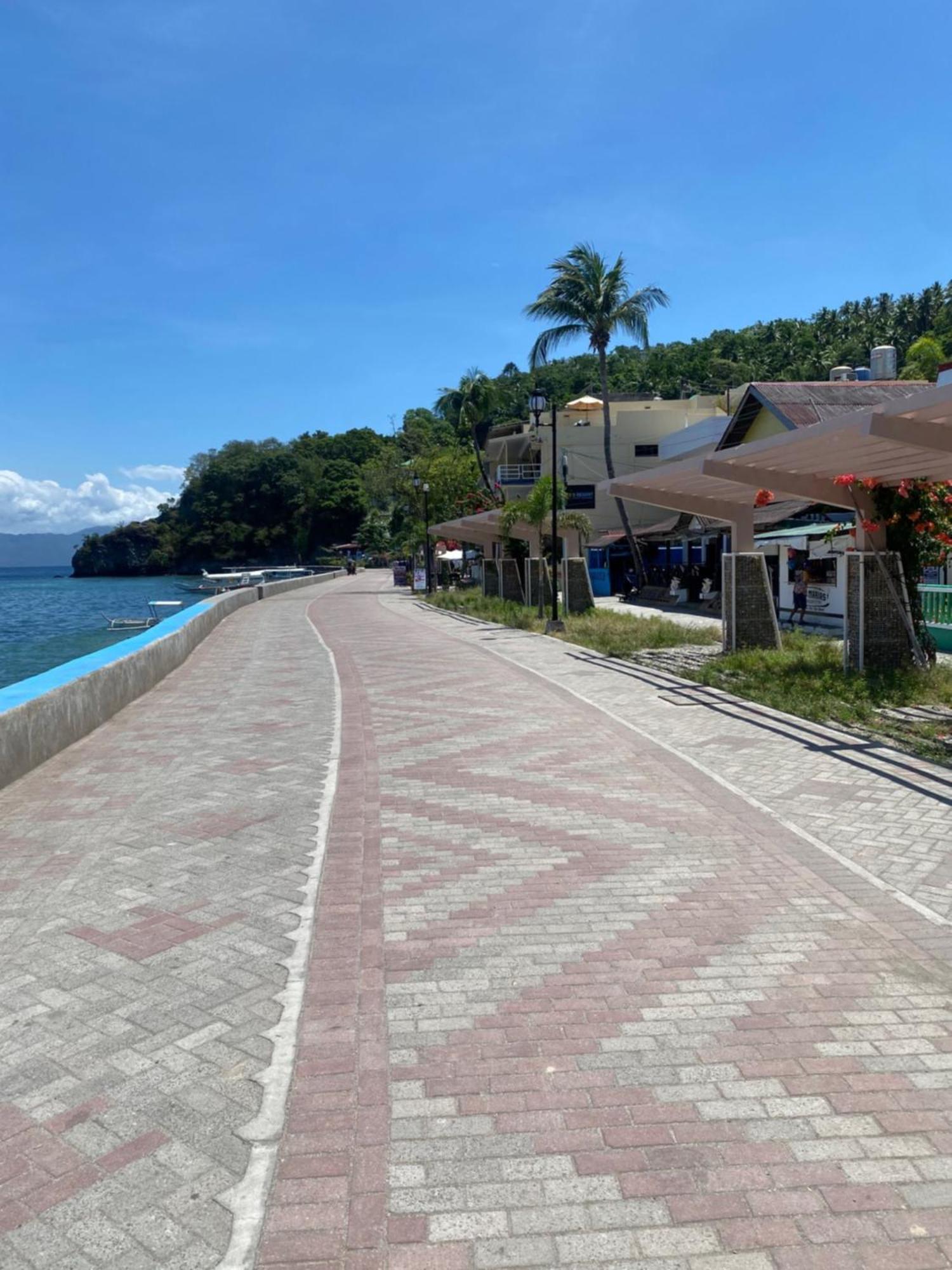 Papa Freds Beach Resort Puerto Galera Εξωτερικό φωτογραφία