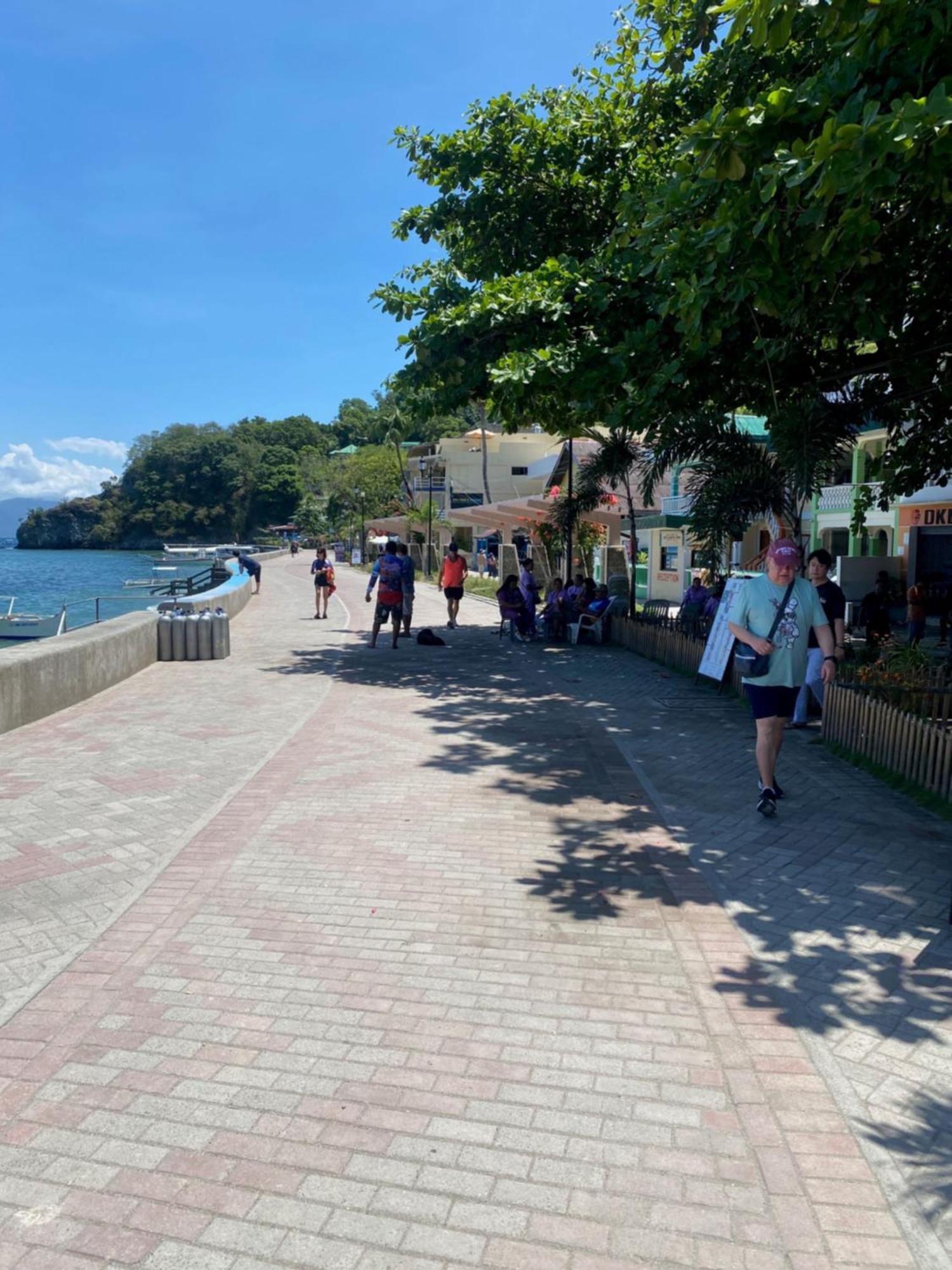 Papa Freds Beach Resort Puerto Galera Εξωτερικό φωτογραφία
