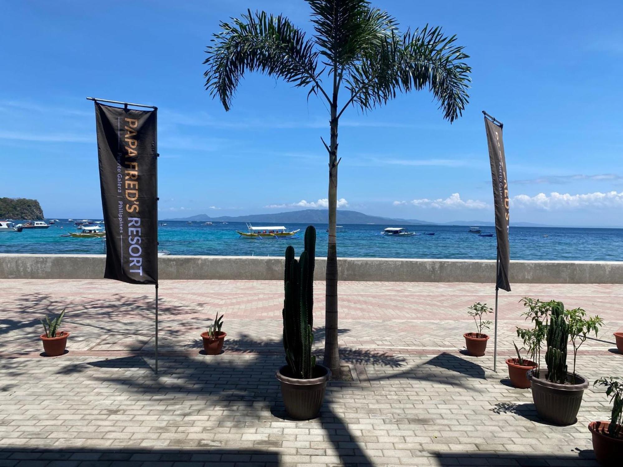 Papa Freds Beach Resort Puerto Galera Εξωτερικό φωτογραφία